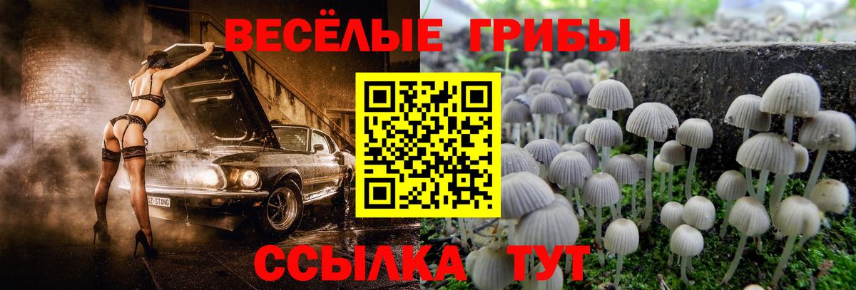 Рузаевка  Галлюциногенные грибы Magic Shrooms  Галлюциногенные грибы Cubensis  Вход с VPN 